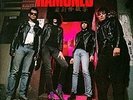 The RAMONES Autographed HALFWAY TO SANITY LP dee marky