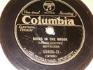 LEAKE COUNTY REVELERS-BIRDS IN BROOK..COLUMBIA-15625.78