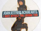 Joan Jett I Hate Myself Picture Disc 12