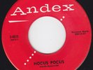 THE RAIDERS- HOCUS POCUS ANDEX 4015, KILLER ROCKABILLY
