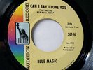 Soul 45 Blue Magic Can I say I locve you Mint-