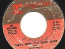 NORTHERN SOUL Blossoms - That's when the Tears S LISTEN