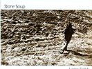 Stone Soup 1984 Private Folk Psych LP Long Fields MINT