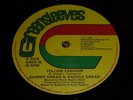SAMMY DREAD - FOLLOW FASHION 1981 GREENSLEEVES 12