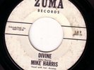 ROCKABILLY 45 MIKE HARRIS JUST A MEMORY/DIVINE ZUMA 102
