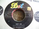LENNY & THUNDERTONES KILLER INSTRO 45 DOT 16137 HEAR