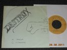 DESTROY - Sanoja Finland KBD punk -80 Private SUPERRARE