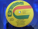 MIGHTY DIAMONDS Gates of Zion, Greensleeves 12” GRED45