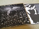 Neil Young & Pearl Jam - MIRRORBALL (2LP) vinyl LP
