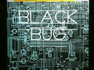 Black Bug HoZac GOLD 7