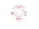 N soul orig breakaway linda lloyd demo