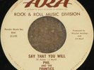 PHIL AND THE FRANTICS *Say That You Will 1965 ARA 45rpm