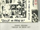 PUSSY GALORE exile on main st CASSETTE Jon Spencer