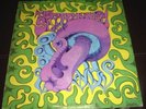 The Sacred Mushroom-S/T-  rare -psych-blues -LP