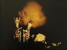 2002 Pearl Jam RIOT ACT VINYL PJ20 MINT