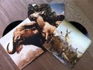 INTERPOL - 'Our Love To Admire' - Double Vinyl Boxed