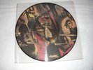 VINYL METAL PICTURE SLAYER 