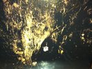 Wolves In The Throne Room 