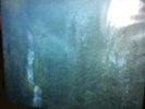 Wolves In The Throne Room 