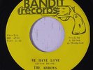 ARROWS: Bring Back The One I Love / We Have Love 45 (almost M-) rare Soul