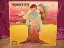THUNDERTREE LP NM ACID PSYCH