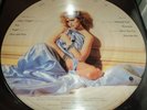 Madonna Picture Disc Mexico Like A Virgin Material Girl