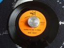 Bob Relf - Trans American - Blowing My Mind to Pieces