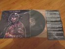 PIG DESTROYER - PAINTER OF DEAD GIRLS LP REGURGITATE