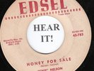 R&B 45 Chip Nelson (Edsel #783) Honey For Sale VG+