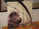 PEARL JAM Vs. LP vinyl SEALED NEW