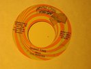 ROGUES no lies GARAGE PUNK MOD 45 HEAR
