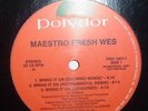 Maestro Fresh Wes 