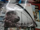 LP PEARL JAM - VS. - USATO OTTIME CONDIZIONI deamusic