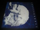 CHAPTERHOUSE - WHIRLPOOL LP OOP SHOEGAZE SLOWDIVE MBV D