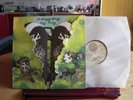 Dr.Strangely Strange Heavy Petting, German Swirll 1970