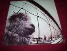 Pearl Jam,VS. 1993 1st press.Epic ,Gatefold, Sealed