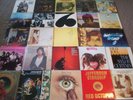 Beatles,Stones,Led Zeppelin,Zappa,Doors,Grateful Dead,D
