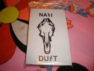 Nazi Dust - TOUR CS Tape Youth Attack Cult Ritual Punk 