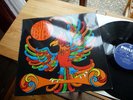 RARE BIRD SAME LP IN 1970 MINT MEGA RAR