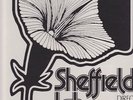 audiophile Sheffield Lab test pressing/ Don Randi & Que