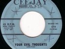 BLUES 45 LEE ROY LITTLE CEE-JAY 578 YOUR EVIL THOUGHTS/