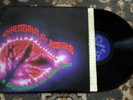 STEVE HALPERN Christening For Listening LP Original