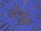 BEACH BOYS - GOOD VIBRATIONS - 2X10