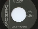 LISTEN - Rare Teen / Rock 'n Roll 45 - Jimmy Hogan - My