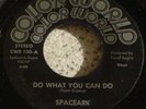 SPACEARK DO WHAT YOU CAN DO COLORWORLD MODERN SOUL / NO