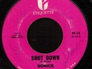 The Sonics Shot Down RARE Mono Pressing Killer Garage P