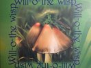 WILL O THE WISP S/T Greek Prog Psych ABSOLUTELY MINT AND UNPLAYED  LP