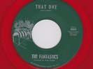 TEXAS NORTHERN SOUL FANTASTICS That One COPA 8005 M- RE