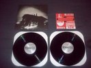 Set Fire to flames Sings reign rebuilder LP13-01