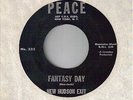 UNCOMMON BUBBLEGUM/Psyche 45/NEW HUDSON EXIT on PEACE (